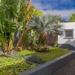 Casas Da Vereda * Estreito Da Calheta