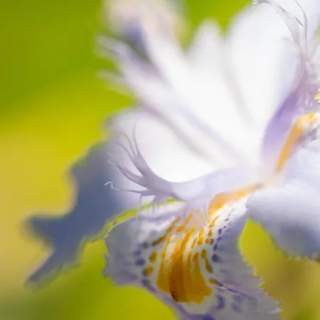 Feriehus Casas Da Vereda Estreito Da Calheta