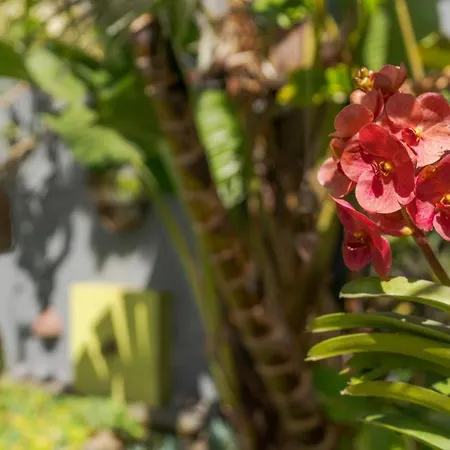 Casas Da Vereda Feriehus