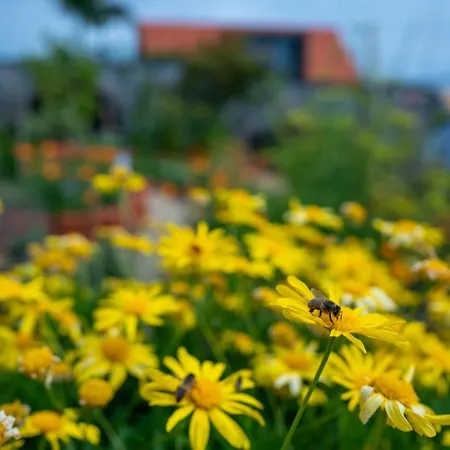 度假居 Casas Da Vereda *