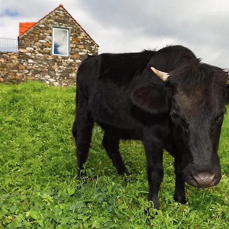 Dom wakacyjny Casas Da Vereda *