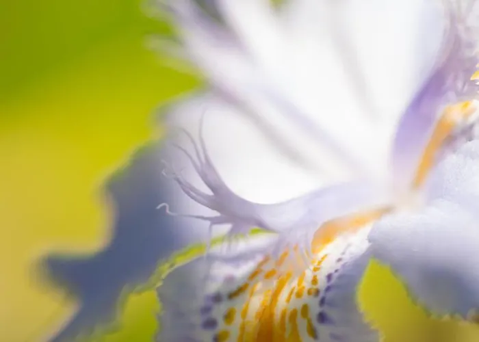 Ferienhaus Casas Da Vereda Estreito Da Calheta