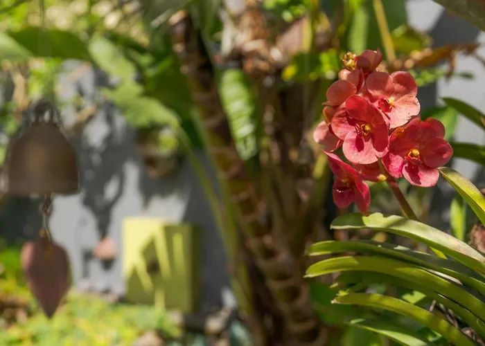 Casas Da Vereda Ferienhaus