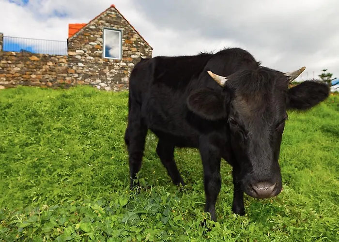Ferienhaus Casas Da Vereda *